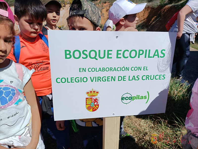 Plantada de árboles