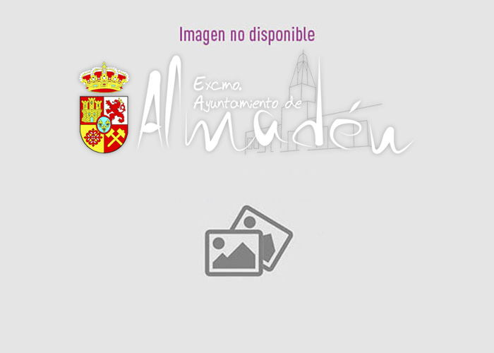 Día del Libro en Almadén 
